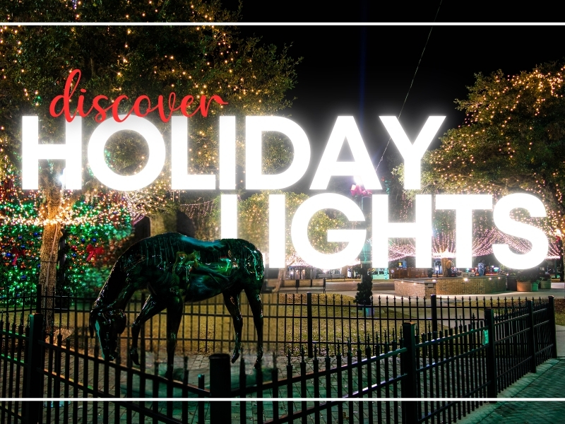 Discover Holiday Lights: 9 Displays to Brighten Your Holiday Season